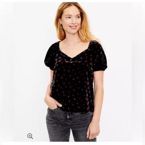 LOFT Black Velvet Top with Red Floral Pattern